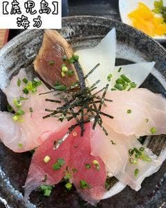 海力