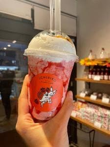 ICHIBIKO 桜新町店
