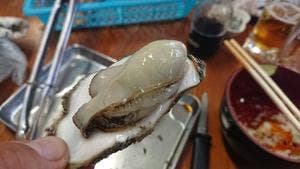 牡蠣小屋 大黒丸