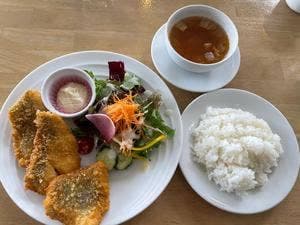 イルカの見えるレストラン