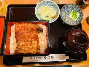 うな菊