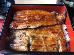 菊家
