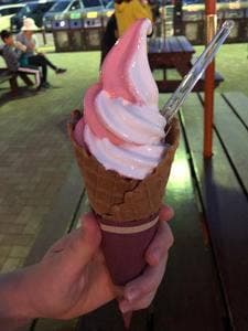 那須高原SAフードコート