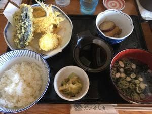朝獲れ海鮮定食＆ドッグラン だいせん丸