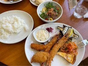 フジエダハウス