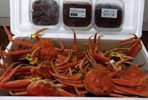 越前港漁師直営 海の幸 食処 えちぜん