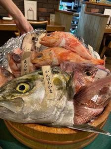 OSAKANA DINING OBANA