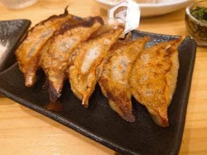 ペガサス餃子