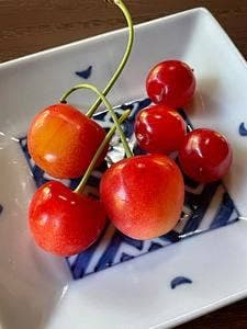 稲泉農園 カフェ・オーチャード