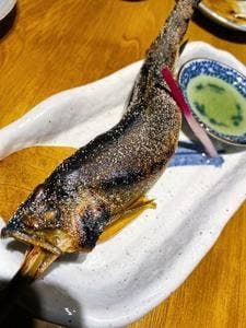 小川の魚 吉祥寺店