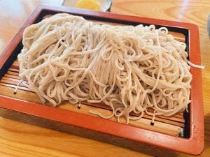 更科