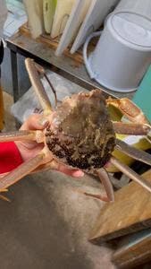 民宿海の家 つるだ