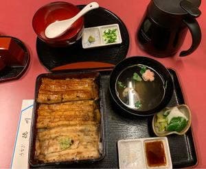 徳川