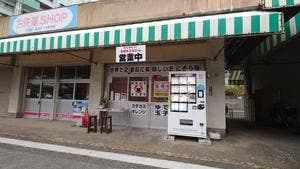 せかにのおにぎり