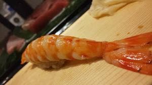 鮨屋 とんぼ 伏見店