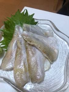 飲食部美食課満腹係 小田原食堂