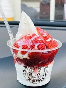 幸せの生ソフト プチラパン