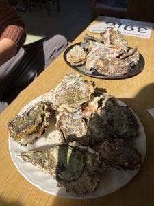 浜茶屋 海太郎