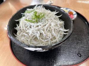 井乃芳