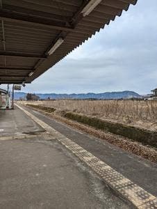 ひなた