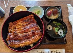 神田きくかわ 御殿場店