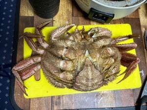 田島魚問屋