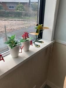 歌舞伎あられ池田屋