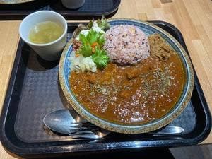 SALUD-VEGE DELICATESSEN