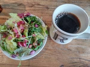 TREX KAWASAKI -RIVER CAFE