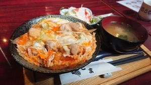 宮崎地鳥 こま