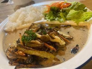 Retrofish cafe