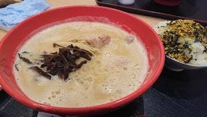 鶏白湯 美富