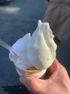 榎本牧場 フォルトゥーナ