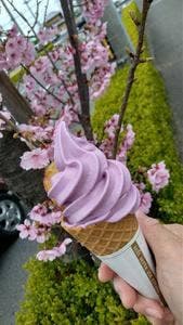 芋屋金次郎 高松店