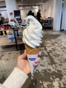 New ice cream shop
