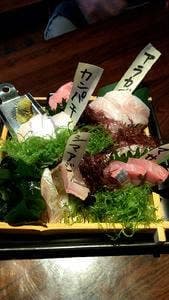高柳