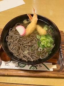 綱道