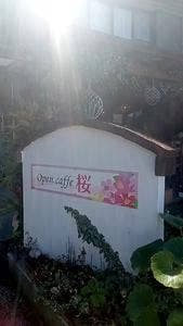 Open caffe 桜