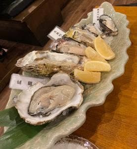 牡蠣海鮮料理 かき家 こだはる 新橋店