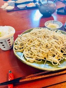 歳一六