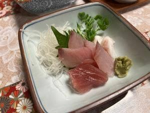 沙月