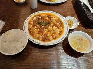 紫玉蘭