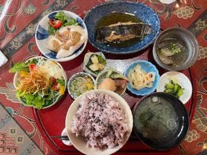 月夜のうさぎ