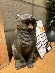 九州酒肴 筑前猫屋 八丁堀