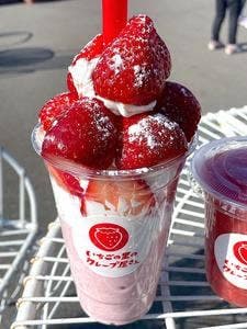 ベリーベリーマルシェ