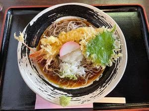 手打そば 手前ざる