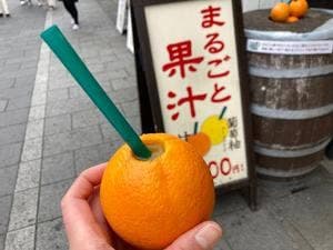まるごと果汁店
