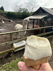 山田さんちの牧場 ミルクの里