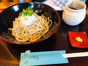 手打そば峨廊庵
