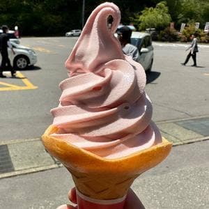 浅間酒造観光センター 売店